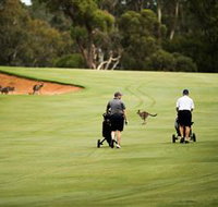 Federal Golf Club - Find Attractions
