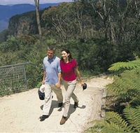 Blue Mountains Walking Tracks - Find Attractions