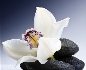 H2O Spa - Find Attractions 1