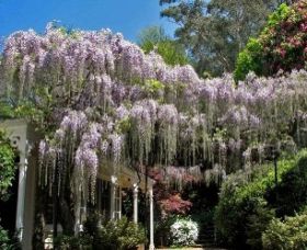 Nooroo Gardens - Find Attractions 0