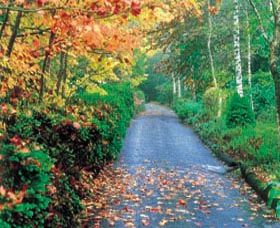 Mount Wilson And Mount Irvine - Find Attractions 0