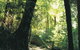 Blue Mountains National Park - thumb 5
