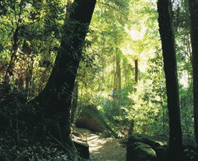 Blue Mountains National Park - Find Attractions 5