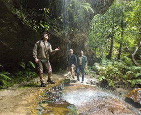 Blue Mountains National Park - Find Attractions 3