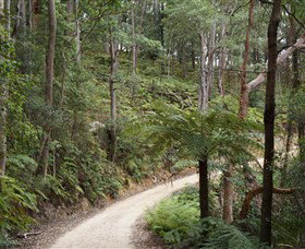 Blue Mountains National Park - Find Attractions 8