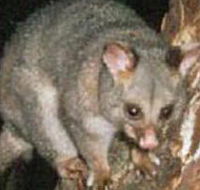 Moondarra State Park - Find Attractions