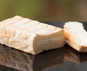 Prom Country Cheese - Find Attractions 7