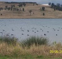 Lake Liddell Recreation Area - Find Attractions