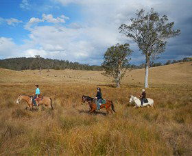 Chapman Valley Horse Riding - Find Attractions 0