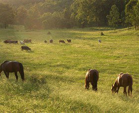 Chapman Valley Horse Riding - Find Attractions 4