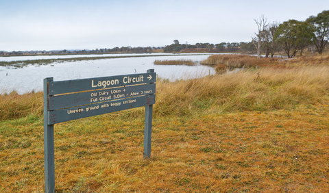 Lagoon Circuit Walking Track - Find Attractions 0