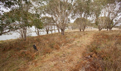 Lagoon Circuit Walking Track - Find Attractions 1