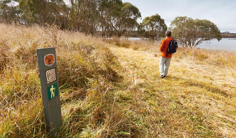 Lagoon Circuit Walking Track - Find Attractions 2