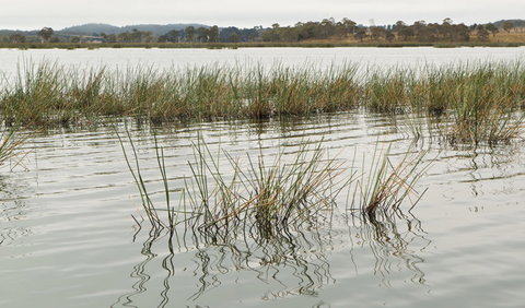 Lagoon Circuit Walking Track - Find Attractions 3