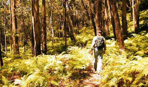 Federal Pass - Find Attractions 0
