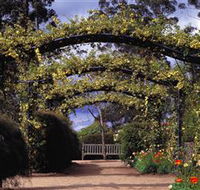 Blue Mountains Botanic Garden - Find Attractions