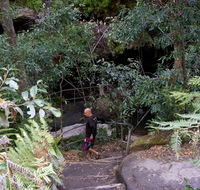 Leura Cascades Fern Bower - Find Attractions
