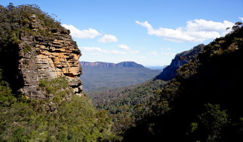 Leura Cascades Fern Bower - Find Attractions 1