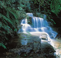 Leura Cascades - Find Attractions