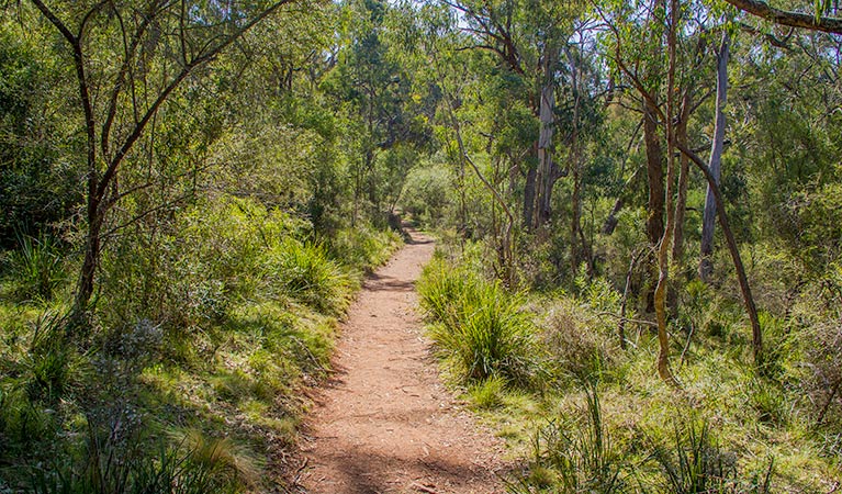 Mares Forest Creek walking track Wombeyan Caves