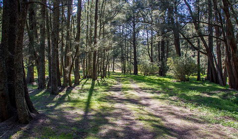 Wombeyan Waterfall Walking Track - Find Attractions 0