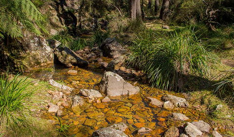 Wombeyan Waterfall Walking Track - Find Attractions 1