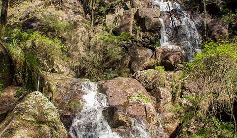 Wombeyan Waterfall Walking Track - Find Attractions 3