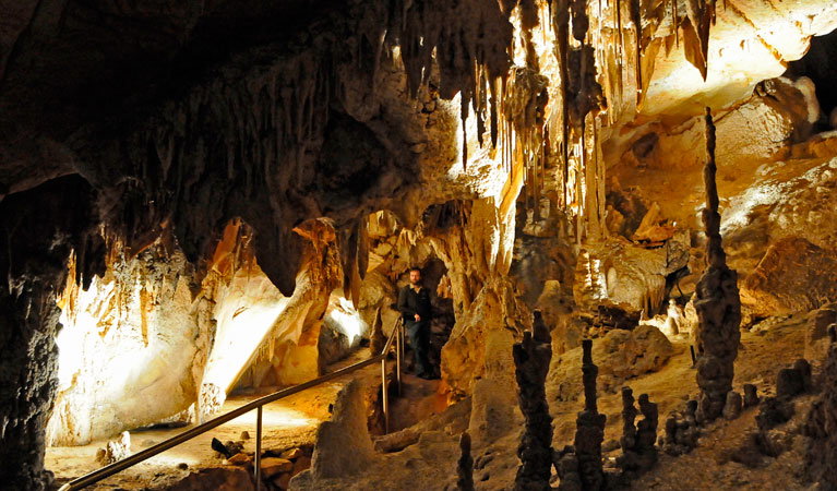 Wollondilly Cave Bullio