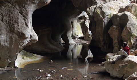 Fig Tree Cave - Find Attractions 2