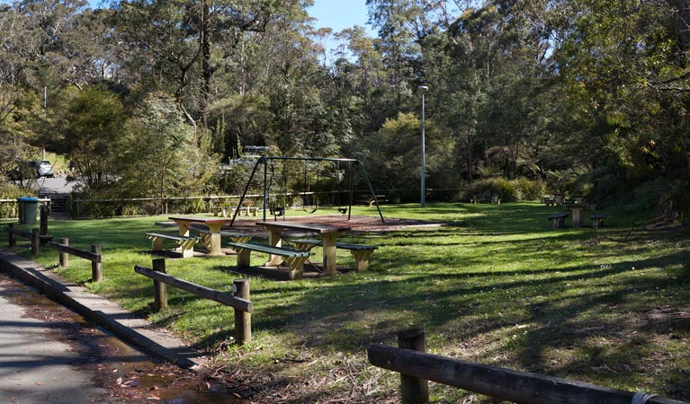 Gordon Falls lookout and picnic area Leura