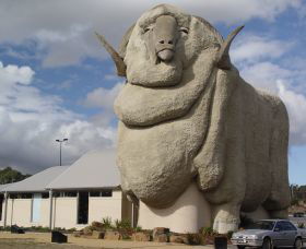 Big Merino - Find Attractions 0