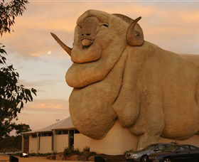 Big Merino - Find Attractions 3