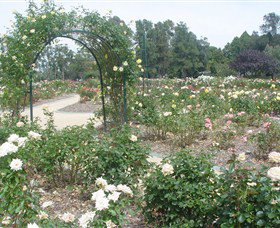 Victoria Park Rose Garden - Find Attractions 0