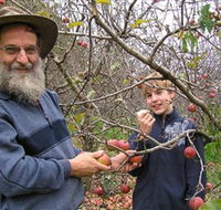 Pine Crest Orchard - Find Attractions