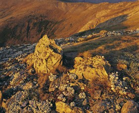 Kosciuszko National Park - Charlottes Pass To Snowy River - Find Attractions 1