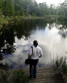 Boonoo Boonoo Falls National Park - Find Attractions 1