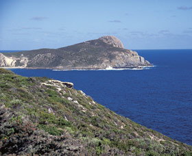 Bald Head Walking Track - Find Attractions 0