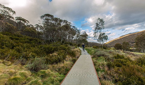 Thredbo Valley Track - Find Attractions 0