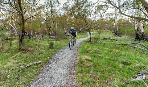 Thredbo Valley Track - Find Attractions 1
