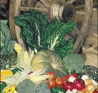 Mulgowie Real Farmers Markets - Find Attractions