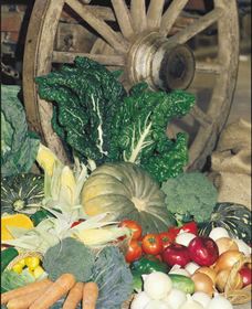 Mulgowie Real Farmers Markets - Find Attractions 0