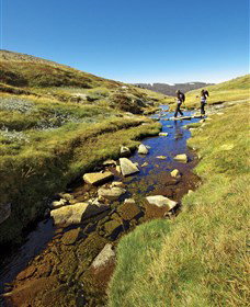 Australian Alps Walking Track - Find Attractions 0