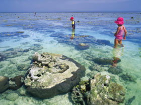 Southern Great Barrier Reef - Find Attractions 1