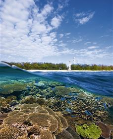 Southern Great Barrier Reef - Find Attractions 2