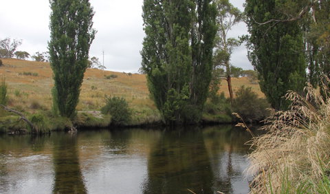 Thredbo River Picnic Area - Find Attractions 3