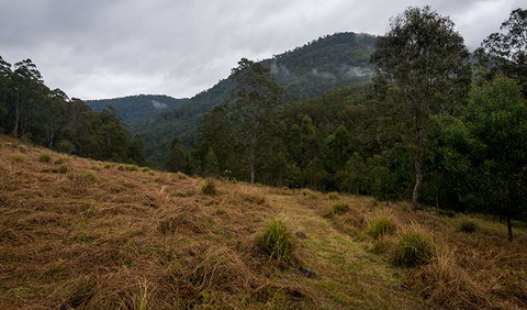 Nowendoc National Park - Find Attractions 1