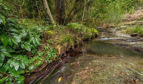 Nowendoc National Park - Find Attractions 2