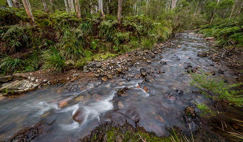 Nowendoc National Park - Find Attractions 3