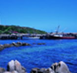 King Island Dairies - Find Attractions