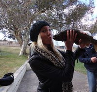 Eucumbene Trout Farm - Find Attractions